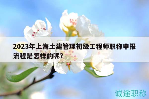 2023年上海土建管理初级工程师职称申报流程是怎样的呢？