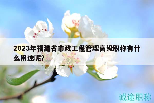 2023年福建省市政工程管理高级职称有什么用途呢？