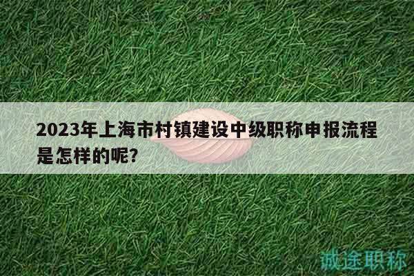 2023年上海市村镇建设中级职称申报流程是怎样的呢？