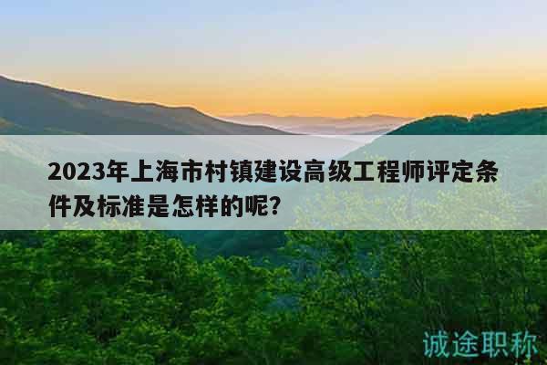 2023年上海市村镇建设高级工程师评定条件及标准是怎样的呢？