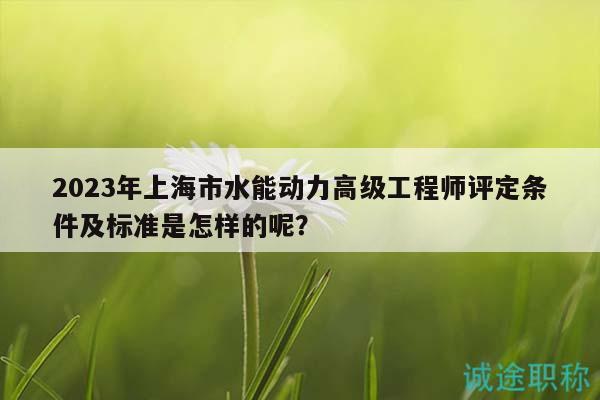 2023年上海市水能动力高级工程师评定条件及标准是怎样的呢？