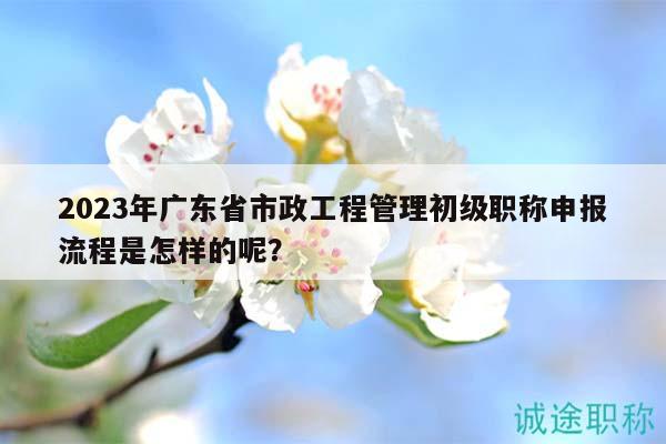 2023年广东省市政工程管理初级职称申报流程是怎样的呢？