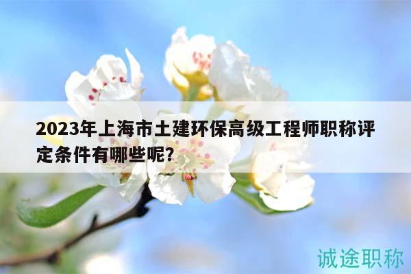 2023年上海市土建环保高级工程师职称评定条件有哪些呢？