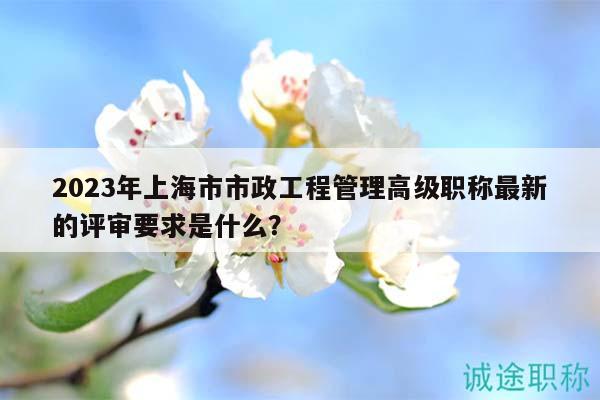 2023年上海市市政工程管理高级职称最新的评审要求是什么？