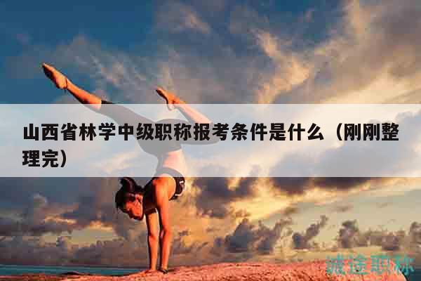 山西省林学中级职称报考条件是什么（刚刚整理完）