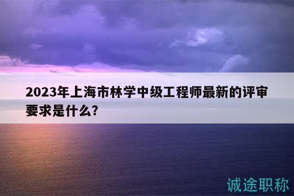2023年上海市林学中级工程师最新的评审要求是什么？