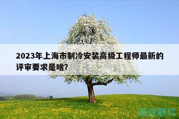 2023年上海市制冷安装高级工程师最新的评审要求是啥？