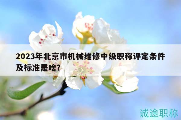 2023年北京市机械维修中级职称评定条件及标准是啥？