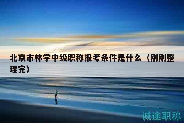 北京市林学中级职称报考条件是什么（刚刚整理完）