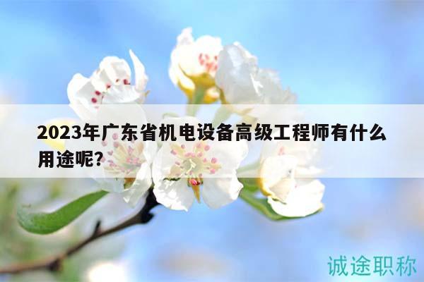 2023年广东省机电设备高级工程师有什么用途呢？