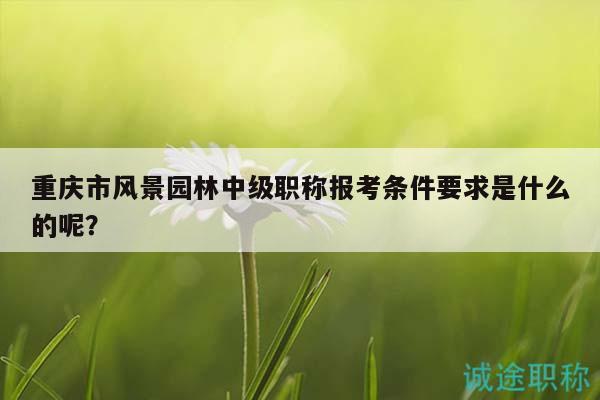 重庆市风景园林中级职称报考条件要求是什么的呢？
