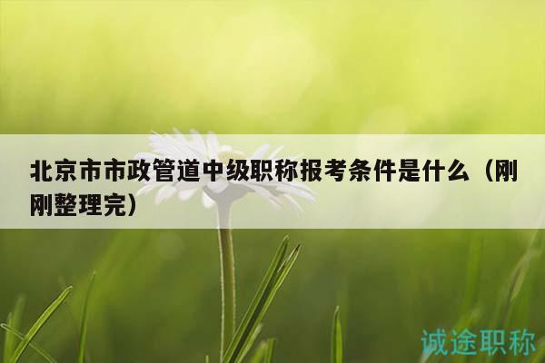 北京市市政管道中级职称报考条件是什么（刚刚整理完）