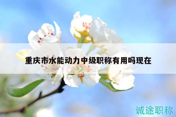 重庆市水能动力中级职称有用吗现在