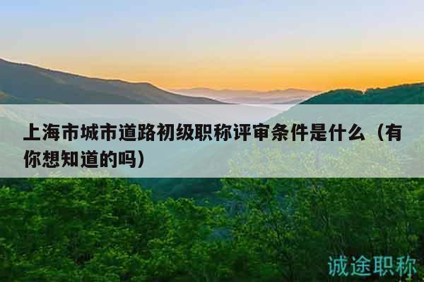 上海市城市道路初级职称评审条件是什么（有你想知道的吗）