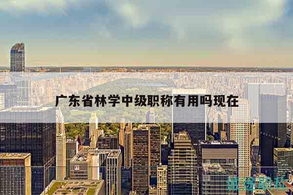 广东省林学中级职称有用吗现在