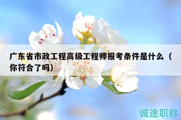 广东省市政工程高级工程师报考条件是什么（你符合了吗）