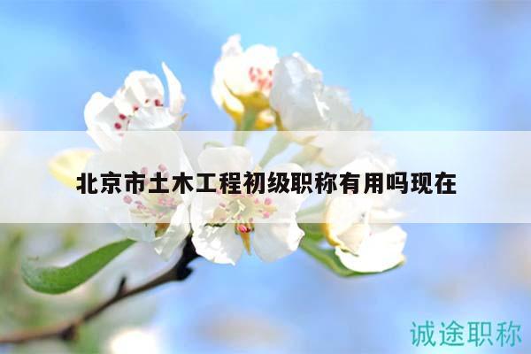 北京市土木工程初级职称有用吗现在