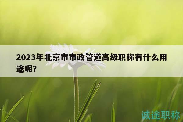 2023年北京市市政管道高级职称有什么用途呢？