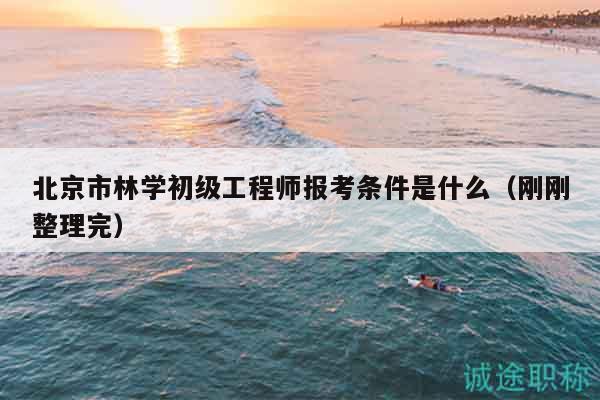 北京市林学初级工程师报考条件是什么（刚刚整理完）
