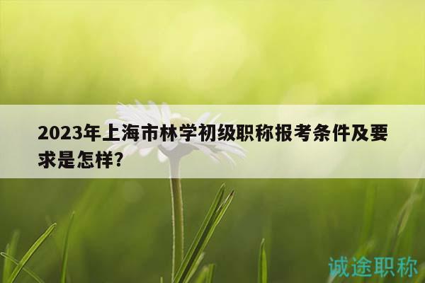 2023年上海市林学初级职称报考条件及要求是怎样？