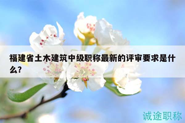 福建省土木建筑中级职称最新的评审要求是什么？