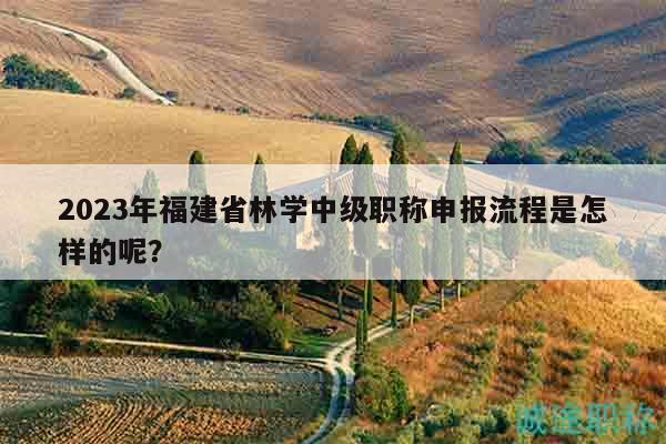 2023年福建省林学中级职称申报流程是怎样的呢？