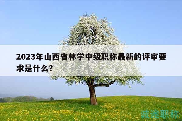 2023年山西省林学中级职称最新的评审要求是什么？
