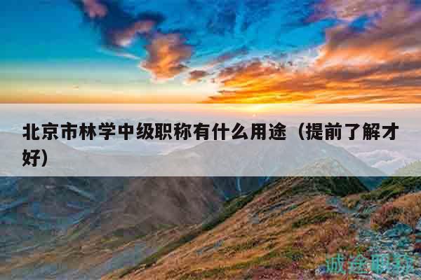 北京市林学中级职称有什么用途（提前了解才好）