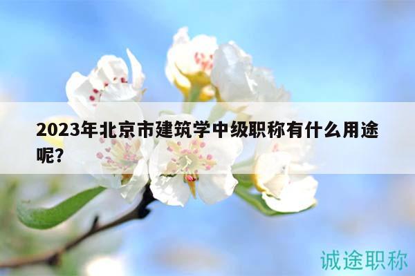 2023年北京市建筑学中级职称有什么用途呢？