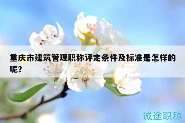 重庆市建筑管理职称评定条件及标准是怎样的呢？
