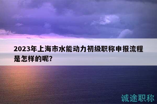 2023年上海市水能动力初级职称申报流程是怎样的呢？