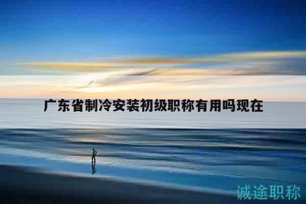广东省制冷安装初级职称有用吗现在