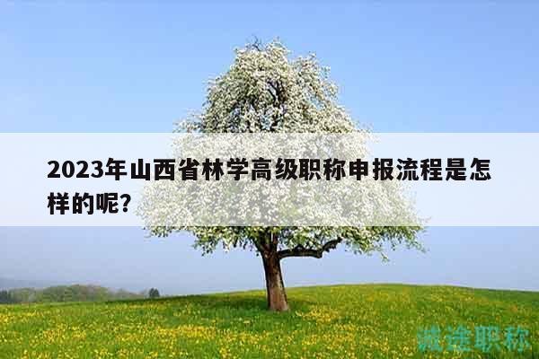 2023年山西省林学高级职称申报流程是怎样的呢？