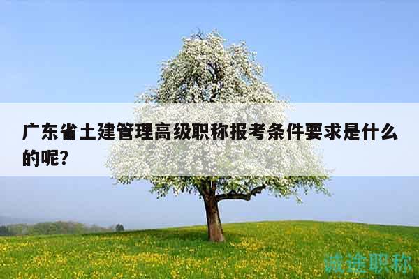 广东省土建管理高级职称报考条件要求是什么的呢？