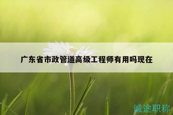广东省市政管道高级工程师有用吗现在