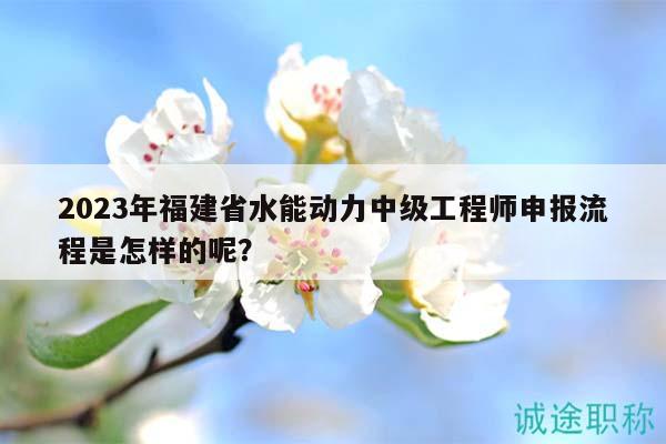 2023年福建省水能动力中级工程师申报流程是怎样的呢？