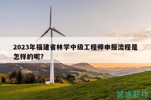 2023年福建省林学中级工程师申报流程是怎样的呢？