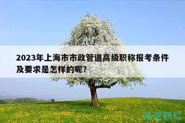 2023年上海市市政管道高级职称报考条件及要求是怎样的呢？