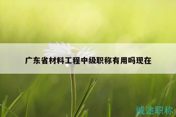 广东省材料工程中级职称有用吗现在
