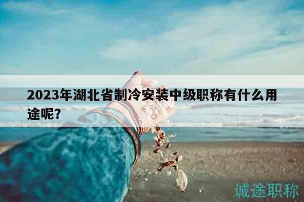 2023年湖北省制冷安装中级职称有什么用途呢？