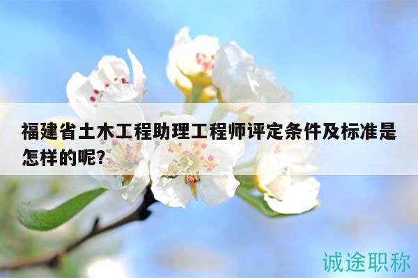福建省土木工程助理工程师评定条件及标准是怎样的呢？