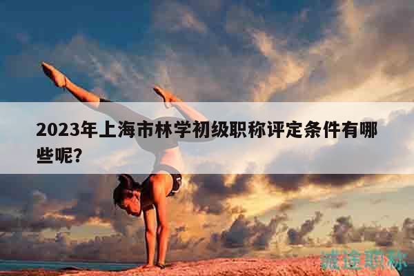 2023年上海市林学初级职称评定条件有哪些呢？