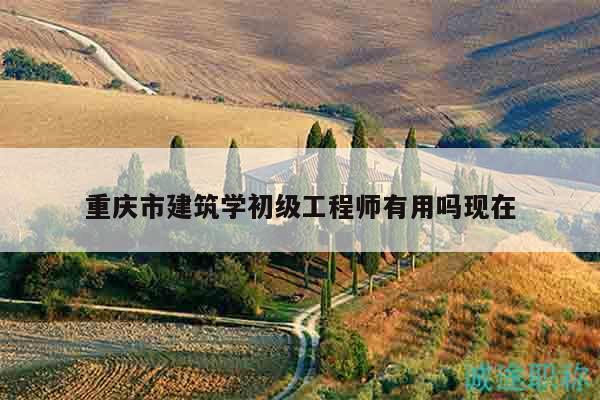 重庆市建筑学初级工程师有用吗现在