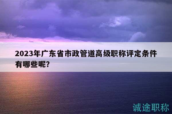 2023年广东省市政管道高级职称评定条件有哪些呢？