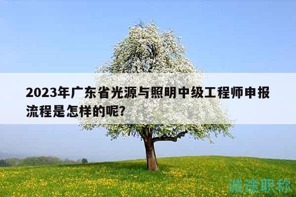 2023年广东省光源与照明中级工程师申报流程是怎样的呢？