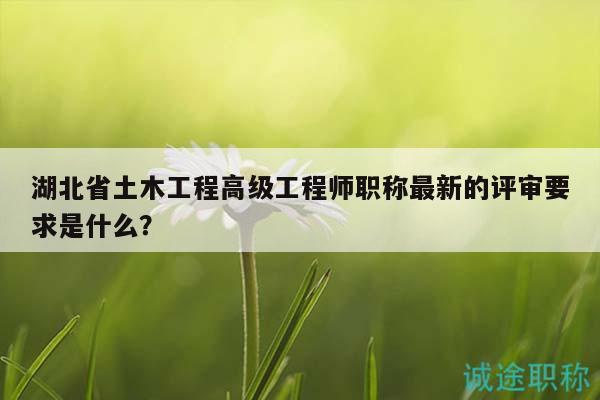 湖北省土木工程高级工程师职称最新的评审要求是什么？