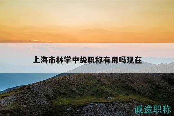 上海市林学中级职称有用吗现在