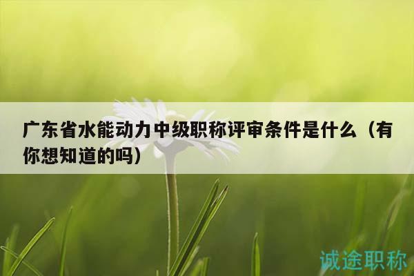 广东省水能动力中级职称评审条件是什么（有你想知道的吗）