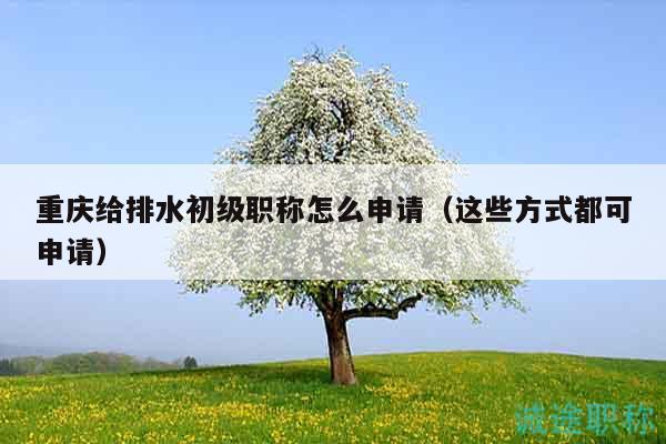 重庆给排水初级职称怎么申请（这些方式都可申请）