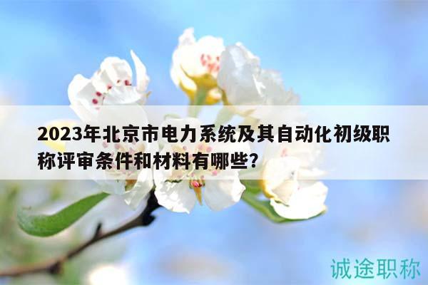2023年北京市电力系统及其自动化初级职称评审条件和材料有哪些？